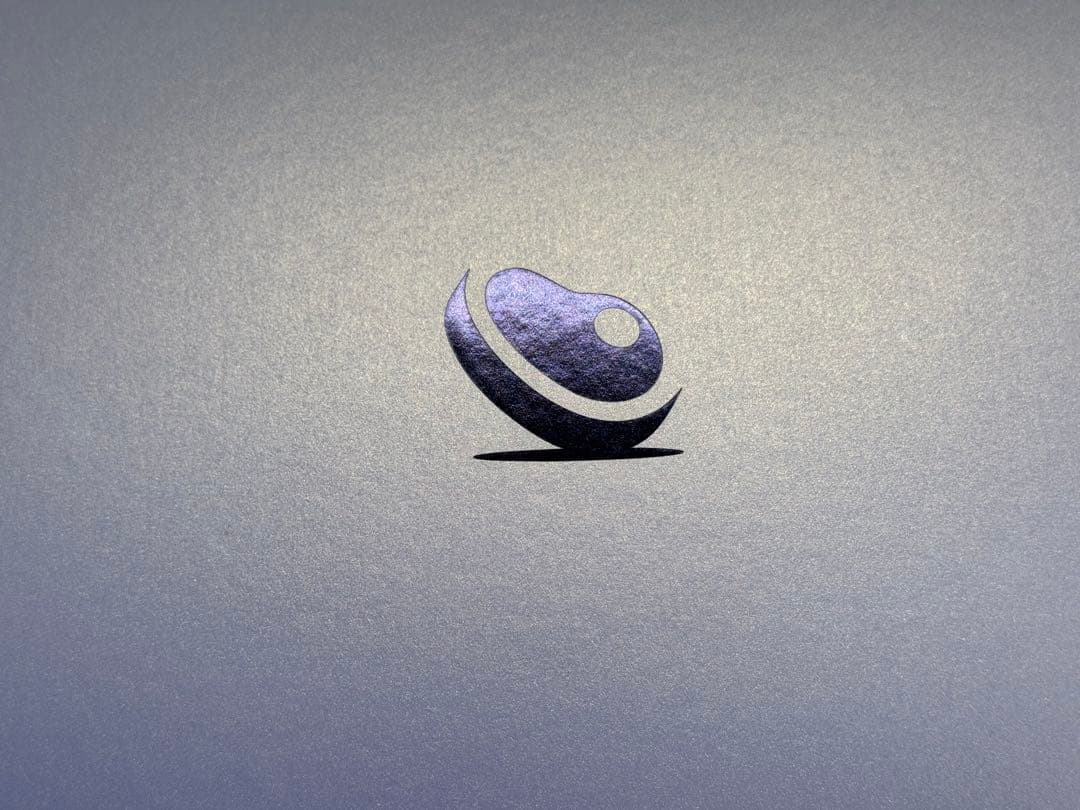 【新品未使用】BONIQ 2.0 低温調理器 ブラック 【開封済み】