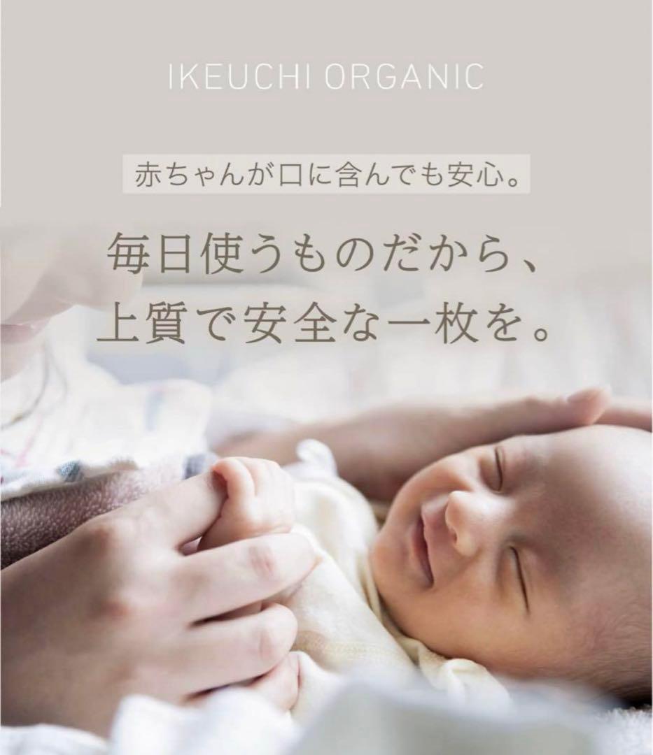 ★¥41,580- イケウチオーガニック140 ラージダブルタオルケット グレー