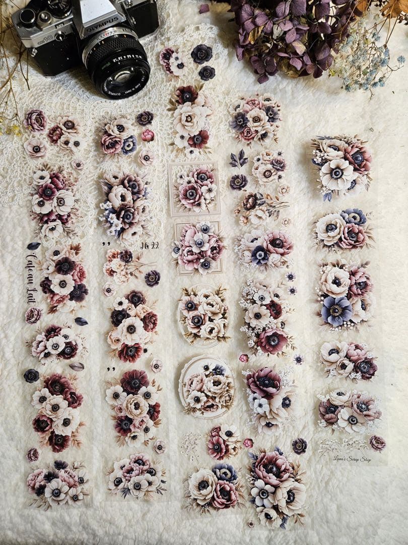 Lana's Scrap Shop 海外マスキングテープ　マステ 【2471】