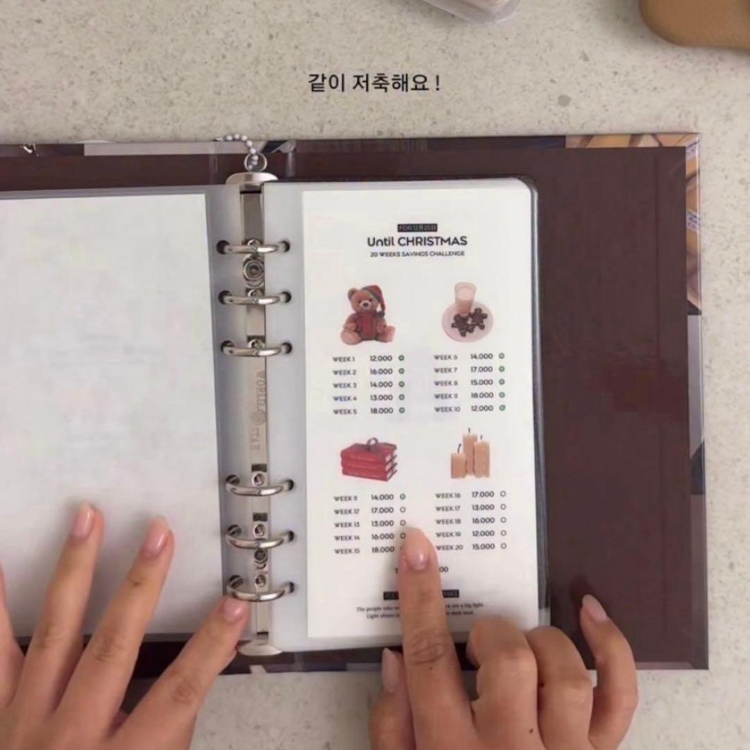 早い者勝ち　韓国　貯金　バインダー　カバー　A5 リフィル　ブラウン　3