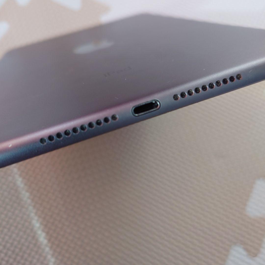 iPad mini 5 64G Cellular 画面にひびあり