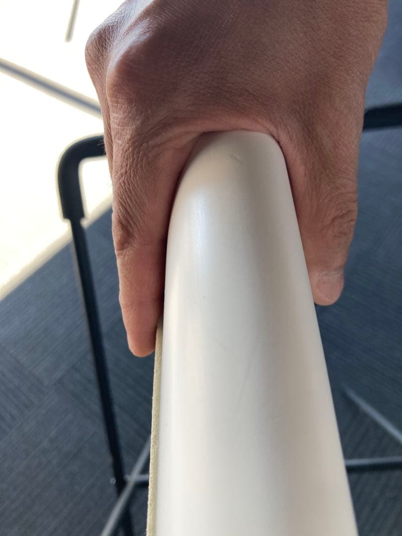 【送料込み】Santa Cruz Pumpkin 5'6\"ラウンドスカッシュ