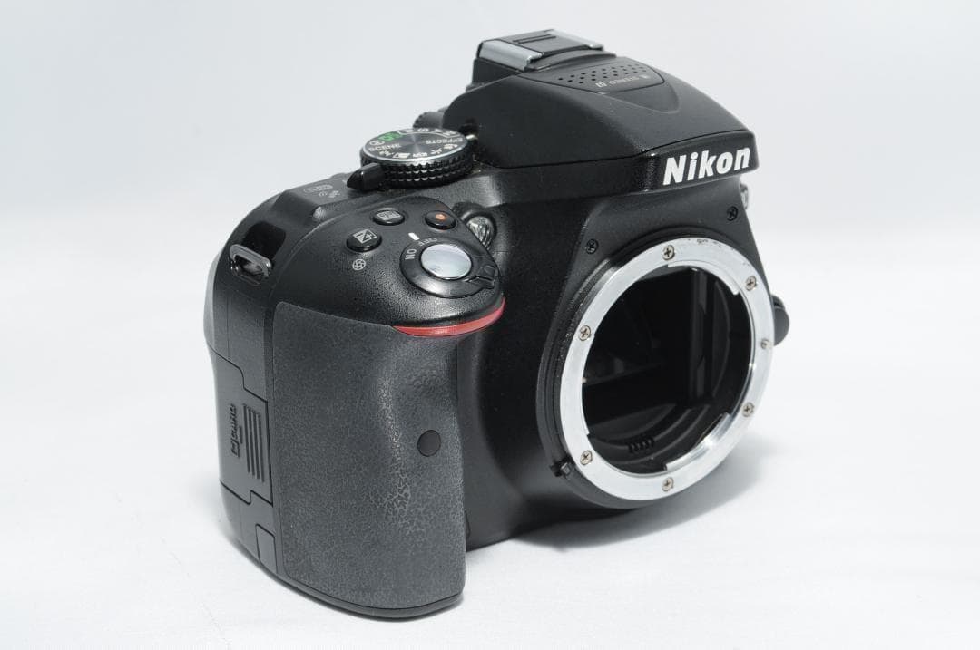 風景も家族写真も綺麗に残す❤️Nikon D5300✨望遠＆標準ダブルレンズ