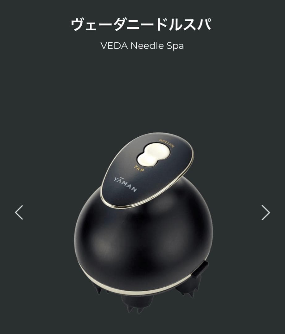 ボディ・フェイスケア YAMAN VEDA Needle Spa BS for Salon