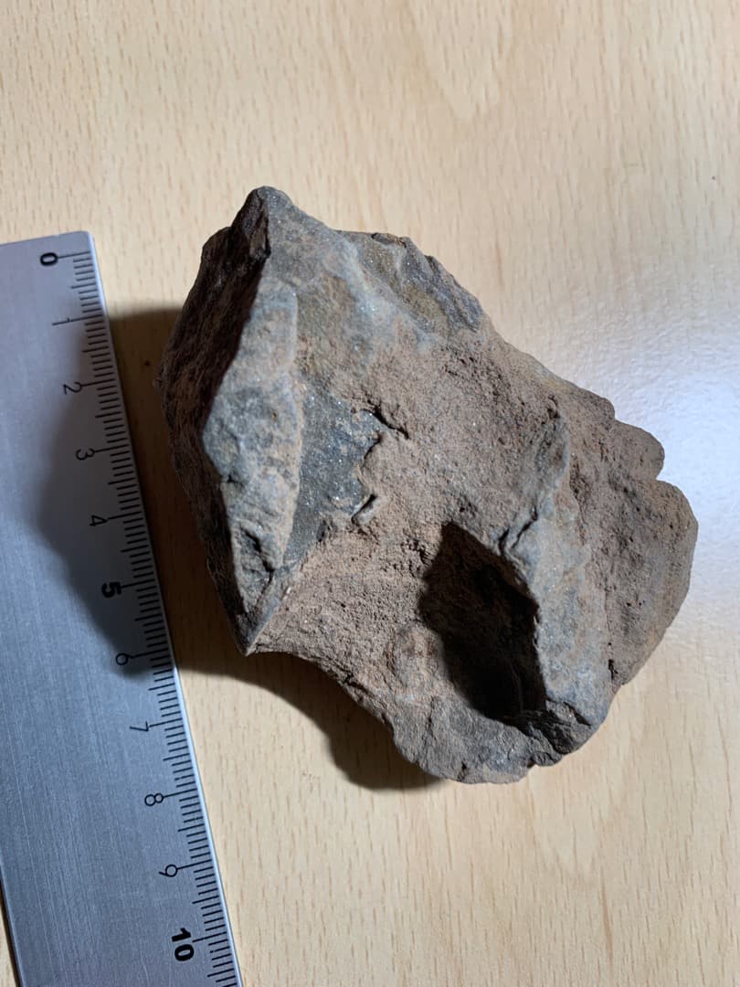 【希少】三葉虫の化石　大型（約8.5cm）