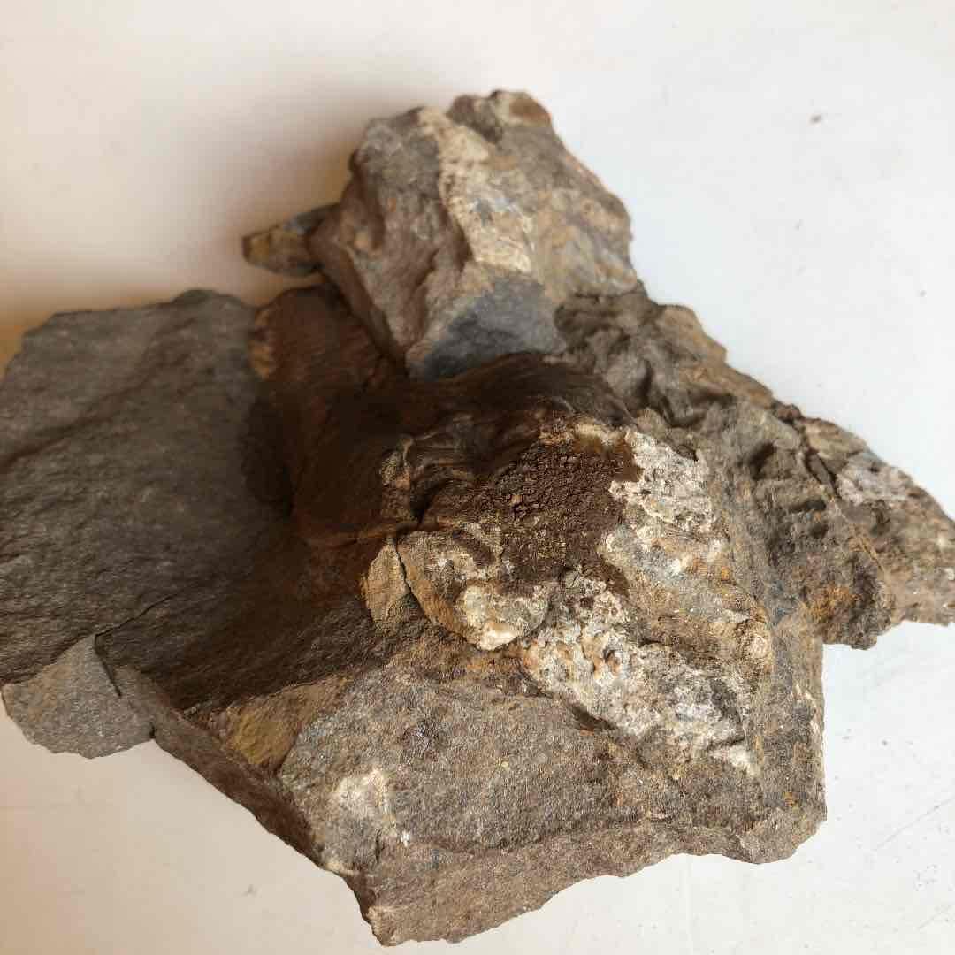 超貴重品　モロッコ砂漠で採取　現在輸出禁止です。