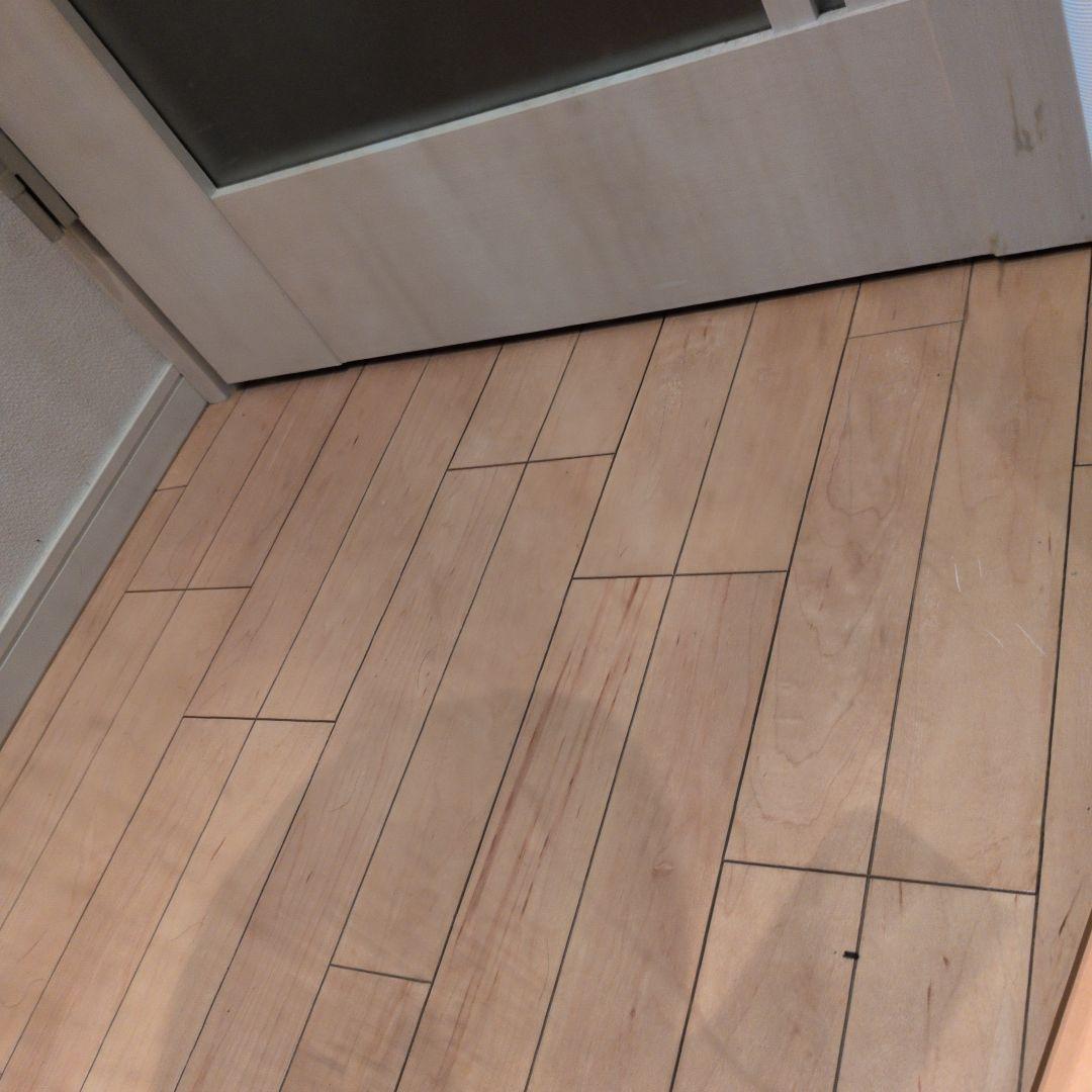 LG styler ホームクリーニング機 S3MF ミラー