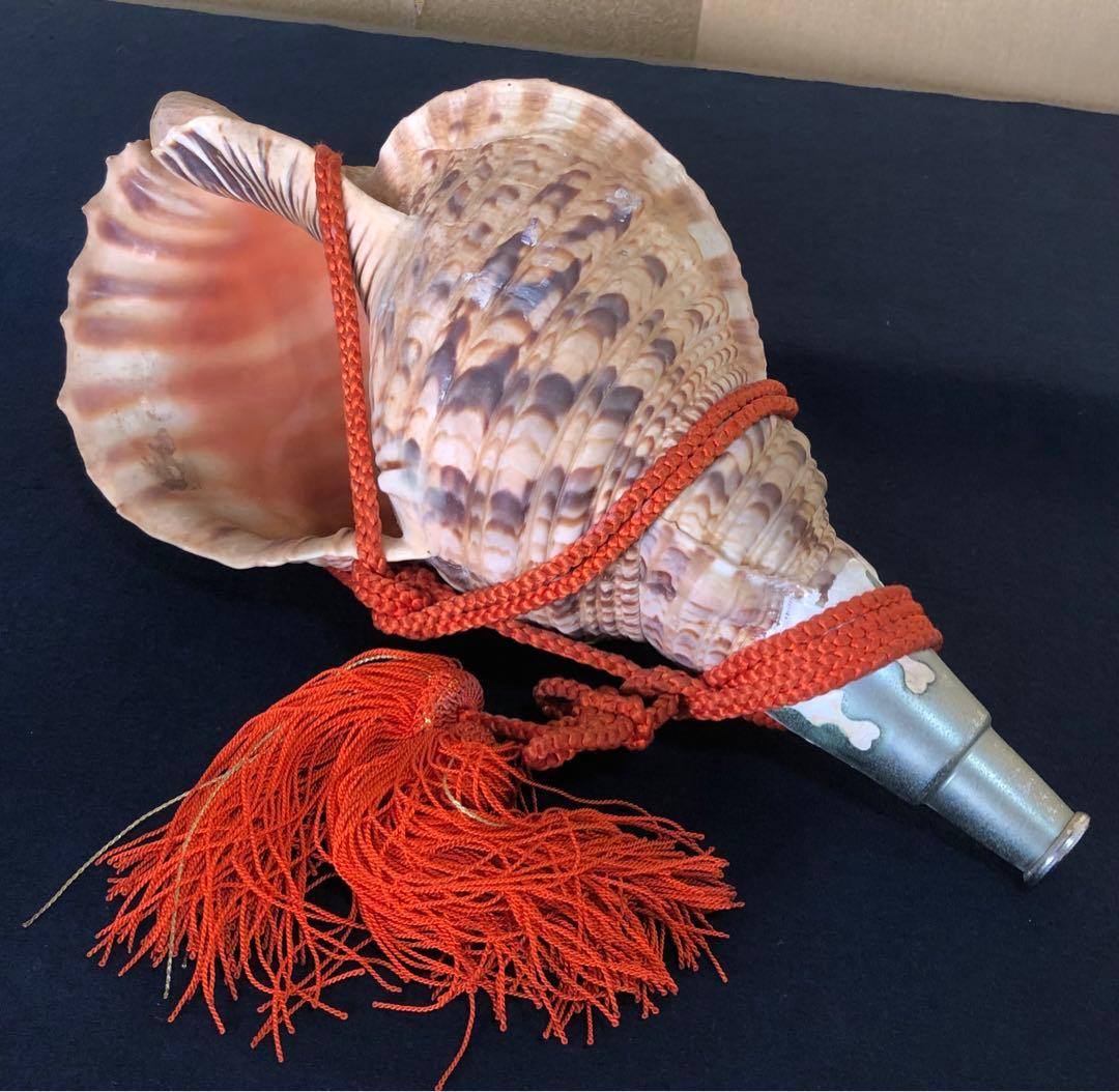 《レ》約41㎝ 修験道法螺貝 紐付 山伏 ほら貝 貝笛 251118え3