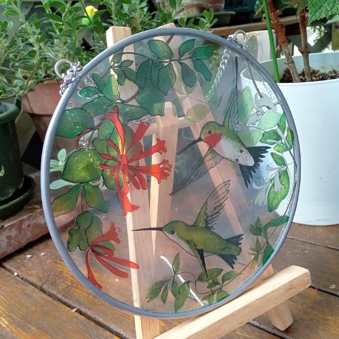 トロント・ステンドグラス Hummingbird ハミングバード ハチドリ