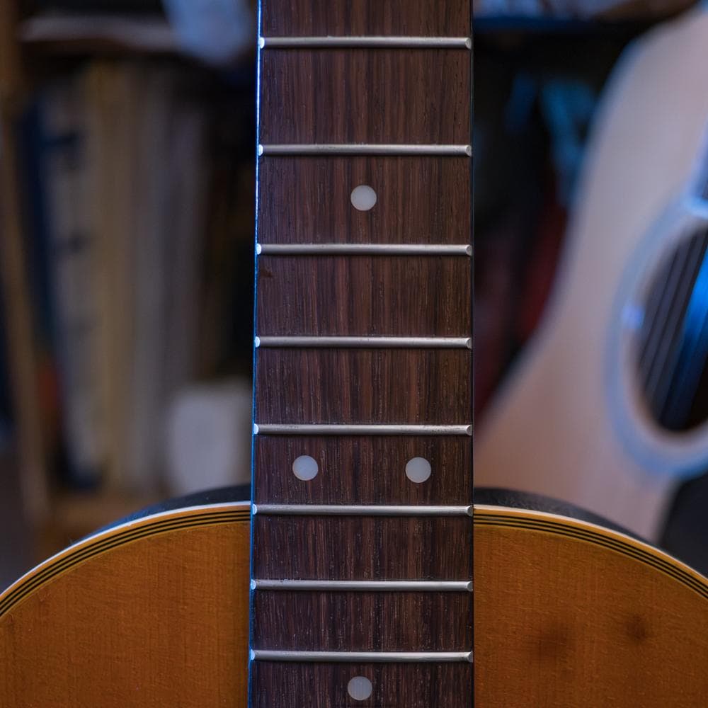 Stars & Strings SS－C10 OR フジゲン製エレアコ