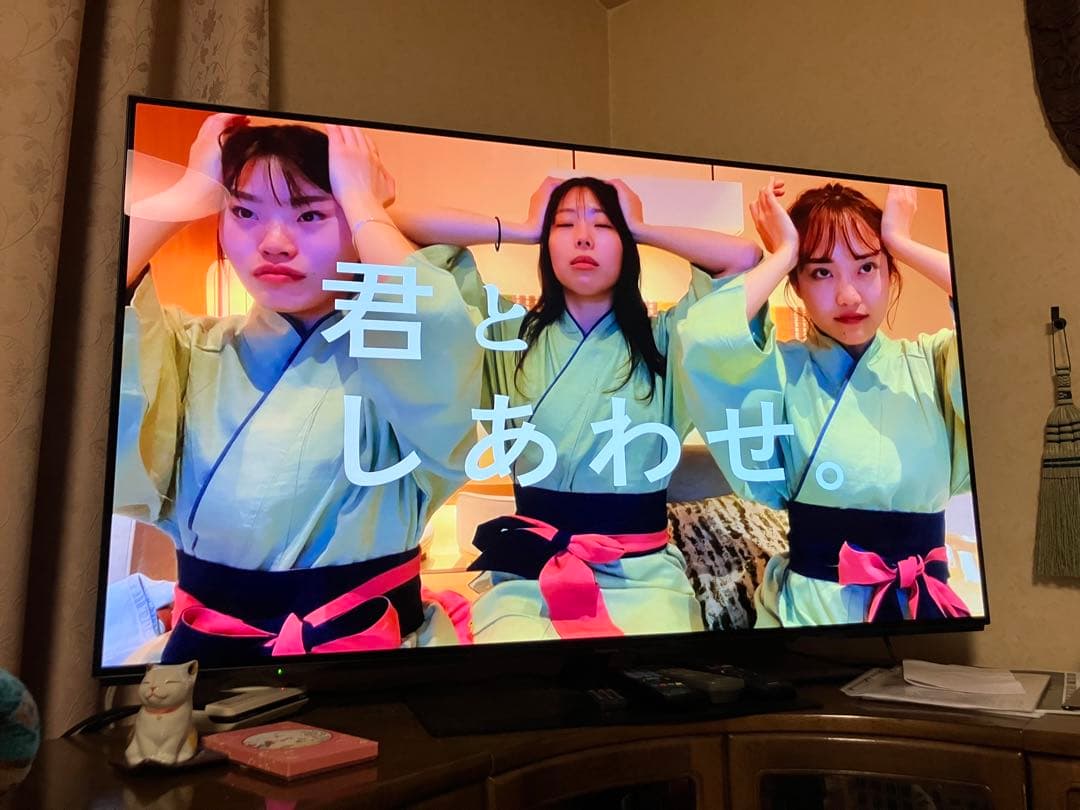 Panasonic 大画面液晶テレビ 大型テレビ