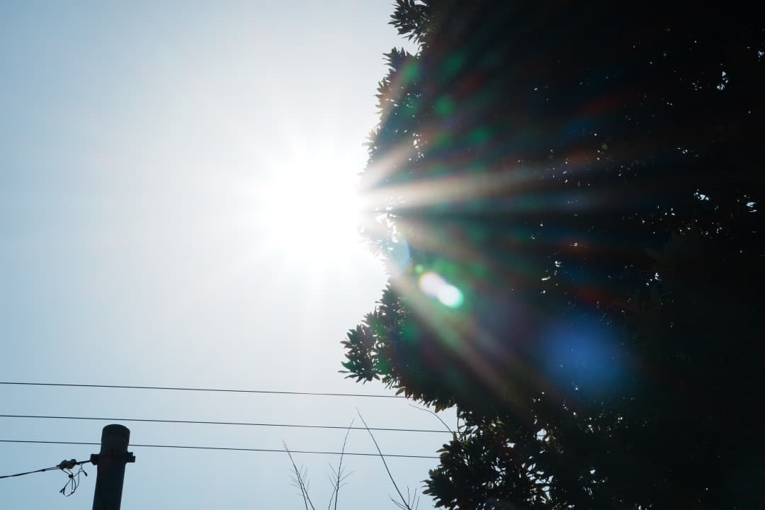 【運動会・卒業式にも】SONY 望遠ズームレンズ SEL55210 144