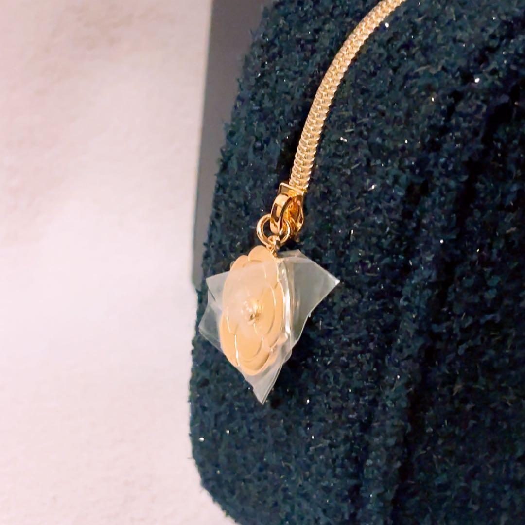 gp☆未使用☆ シャネル 2025 ホリデー リップアンドネイルケアセット