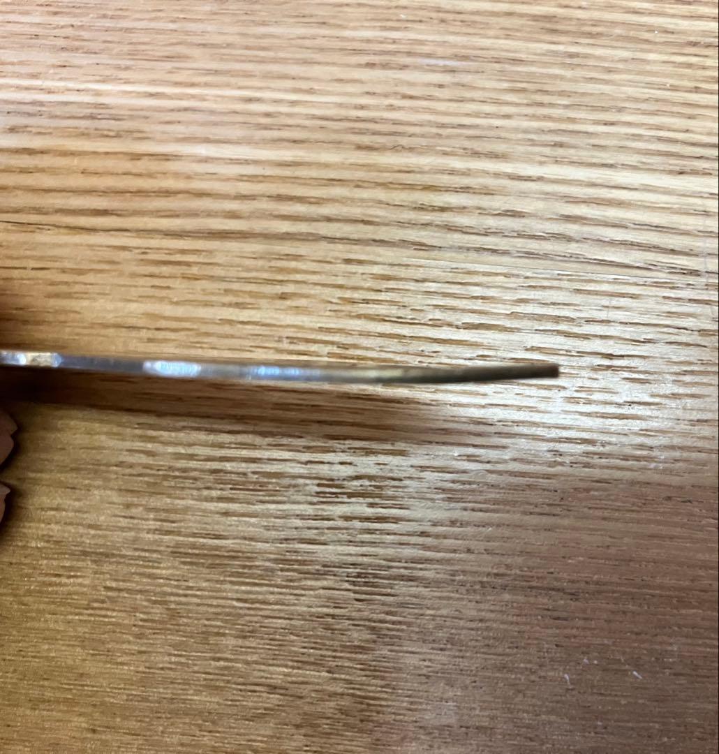 テンダーロイン　T-PAYPLATE