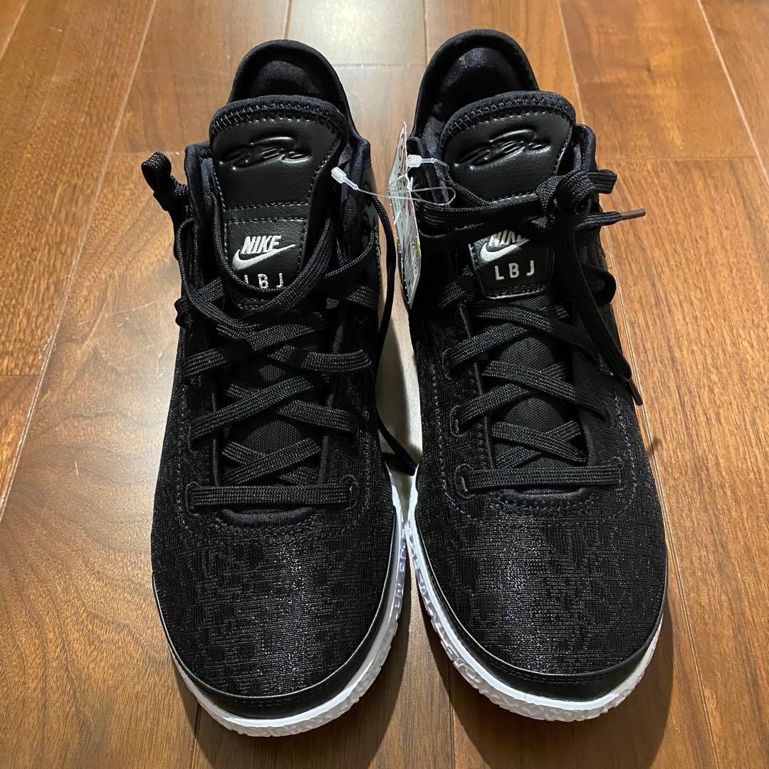 新品未使用　NIKE ZOOM LEBRON NXXT Gen EP