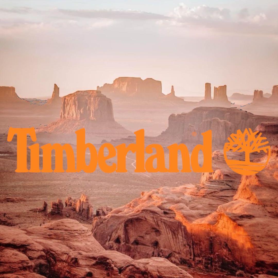 【値下げ中】Timberland ティンバーランド イエローブーツ 27.5cm