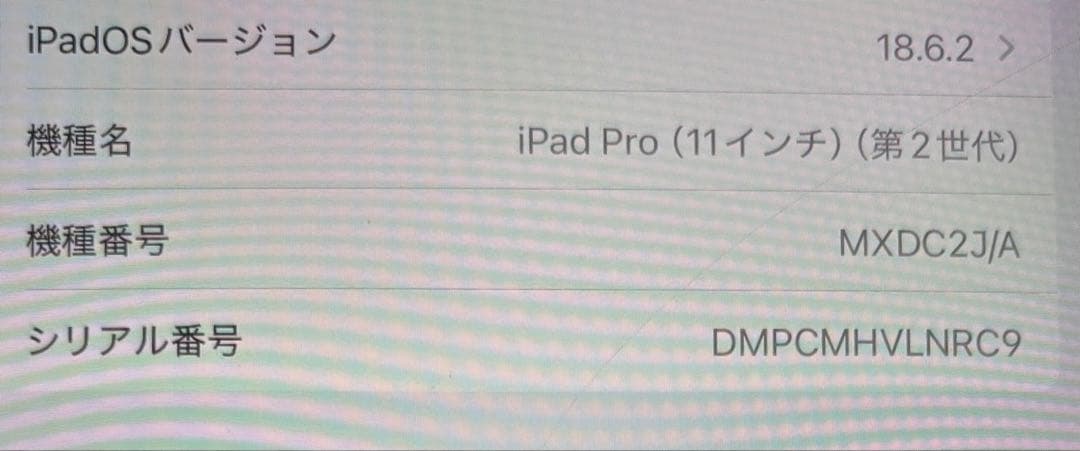 iPad Pro 11インチ