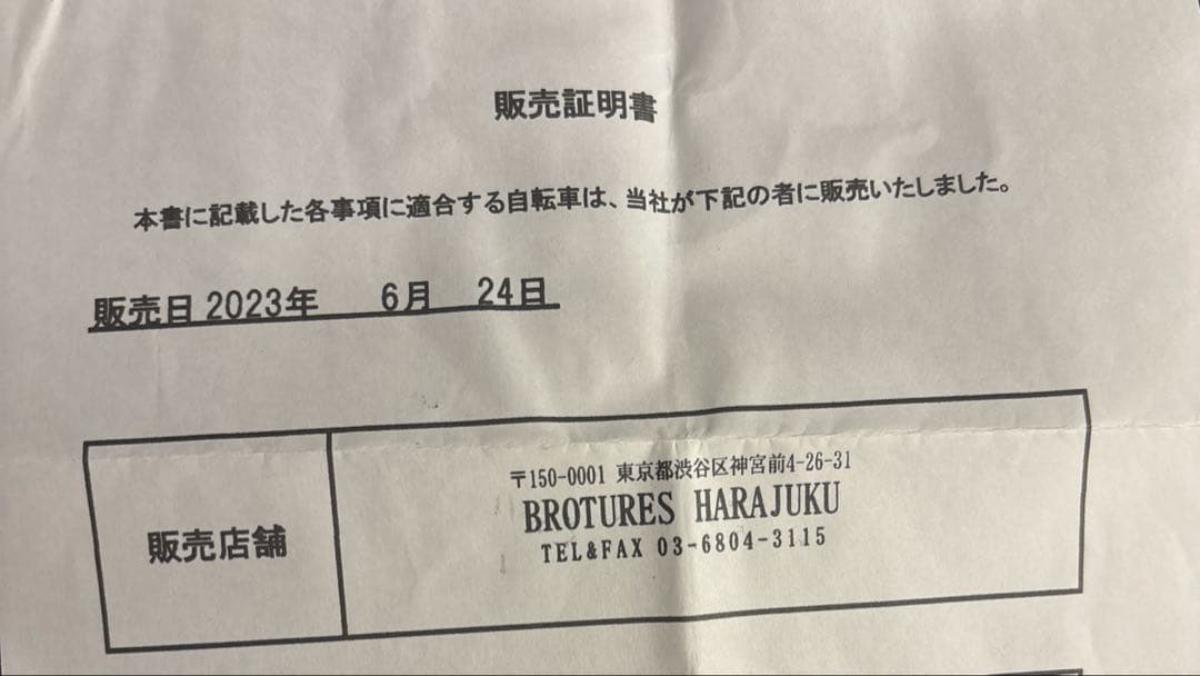 自転車本体 LEADER THE CURE Complete bike