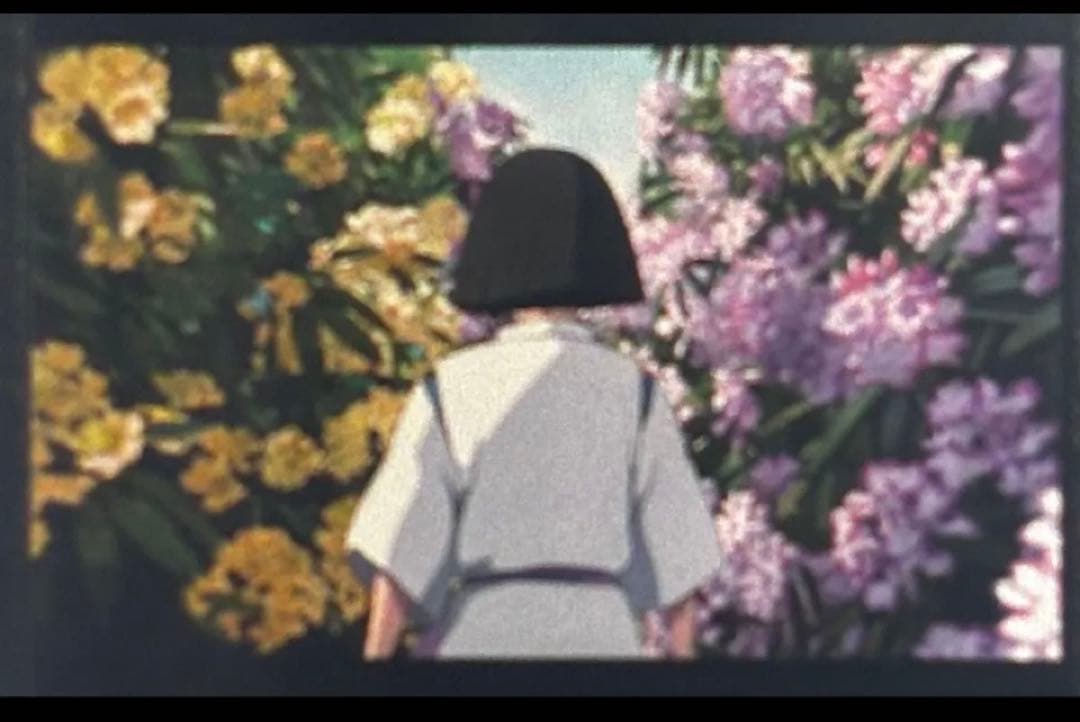 は*ち様 三鷹の森ジブリ美術館 フィルム 入場券 チケット 千と千尋の神隠し