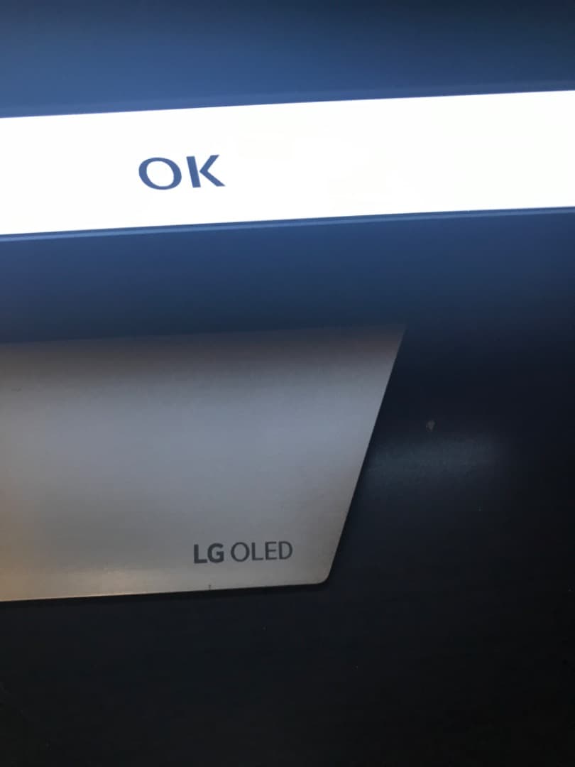 テレビ LG OLED 55v C7with Burn in pickup only
