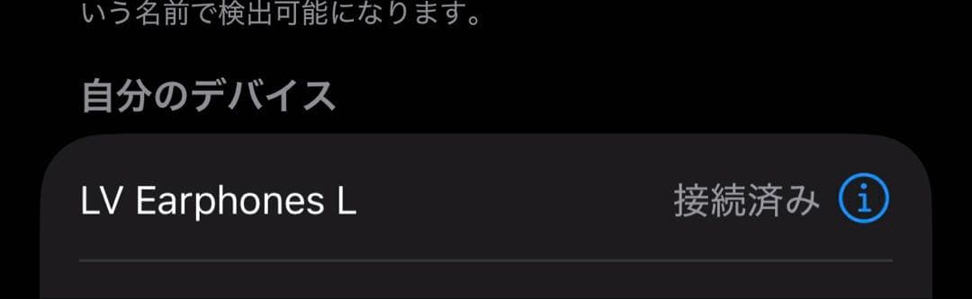 Louis Vuitton ヴィトン ワイヤレスイヤホン ルイヴィトン