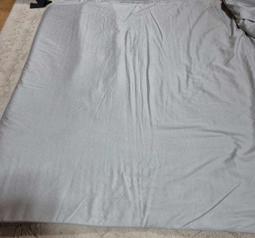 DENBA HEALTH デンバヘルススタンダード 別売マットカバー付き