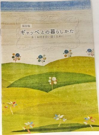 値下げします●ミニギャベ●32×35㎝●手織●本物●新品●3遊牧民が紡ぐギャッベ