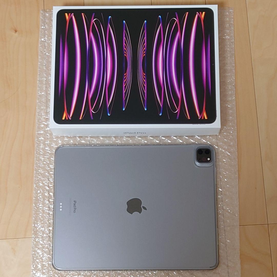 iPad Pro 12.9インチ　第6世代　256GB　Wi-Fiモデル