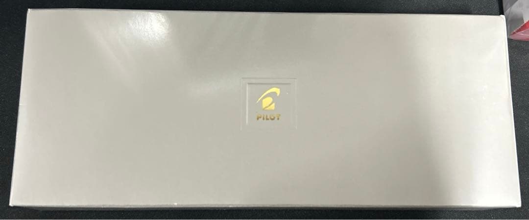 PILOT 万年筆 マンネンヒツ キャップレス S M シルバーFCN1MRSM