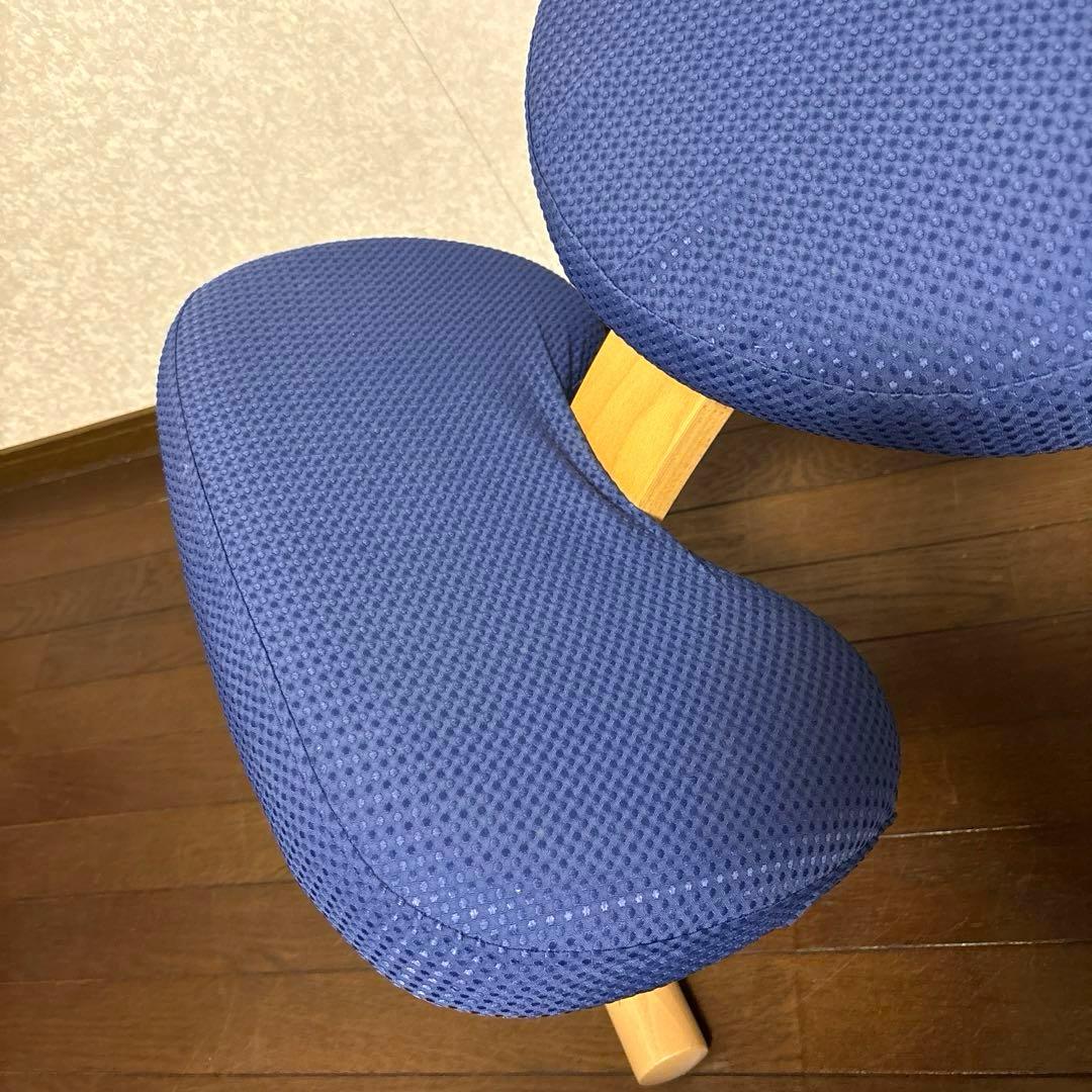 【美品】バランスイージー ブラウン ブルーカバー 通常フレーム オプション付き