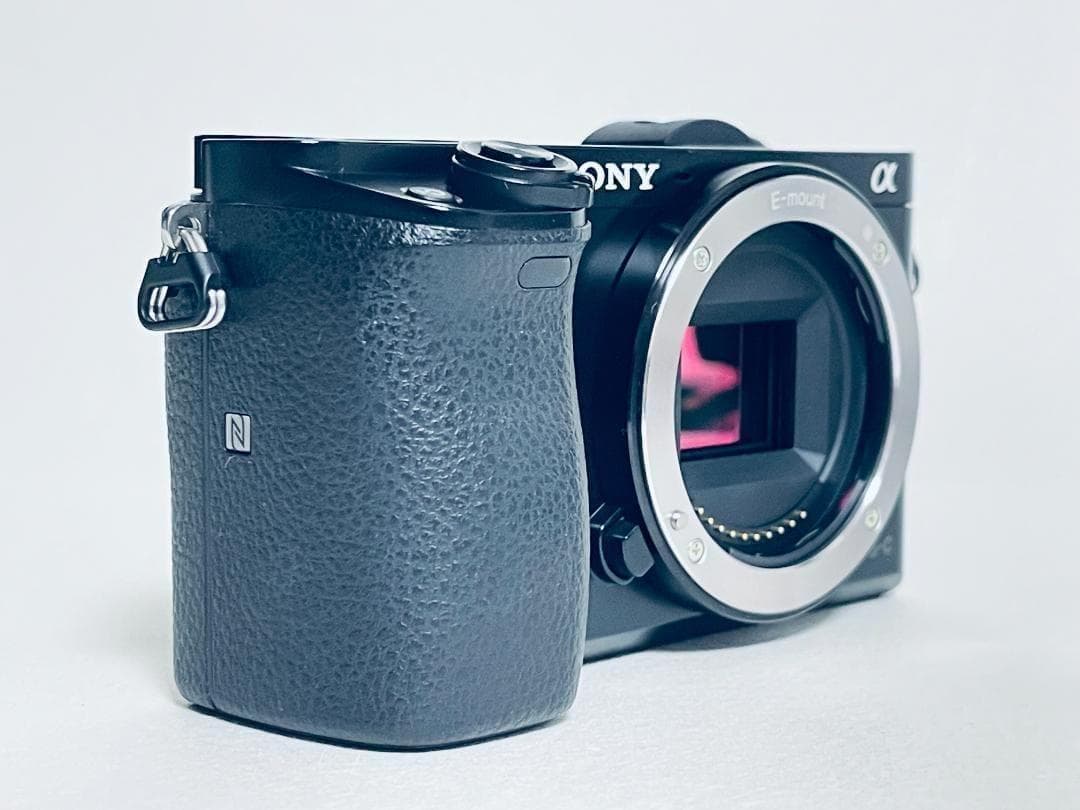 【ほぼ新品ショット数2901回】SONY α6000 ボディ ILCE-6000