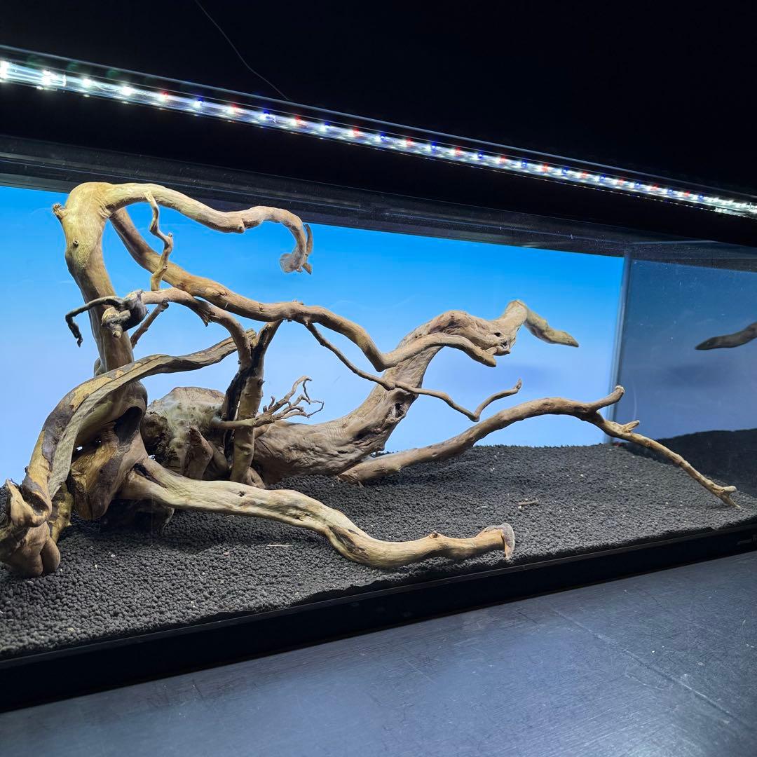 MDW-7223 ブランチウッドレイアウトセット　90cm水槽用流木　枝流木