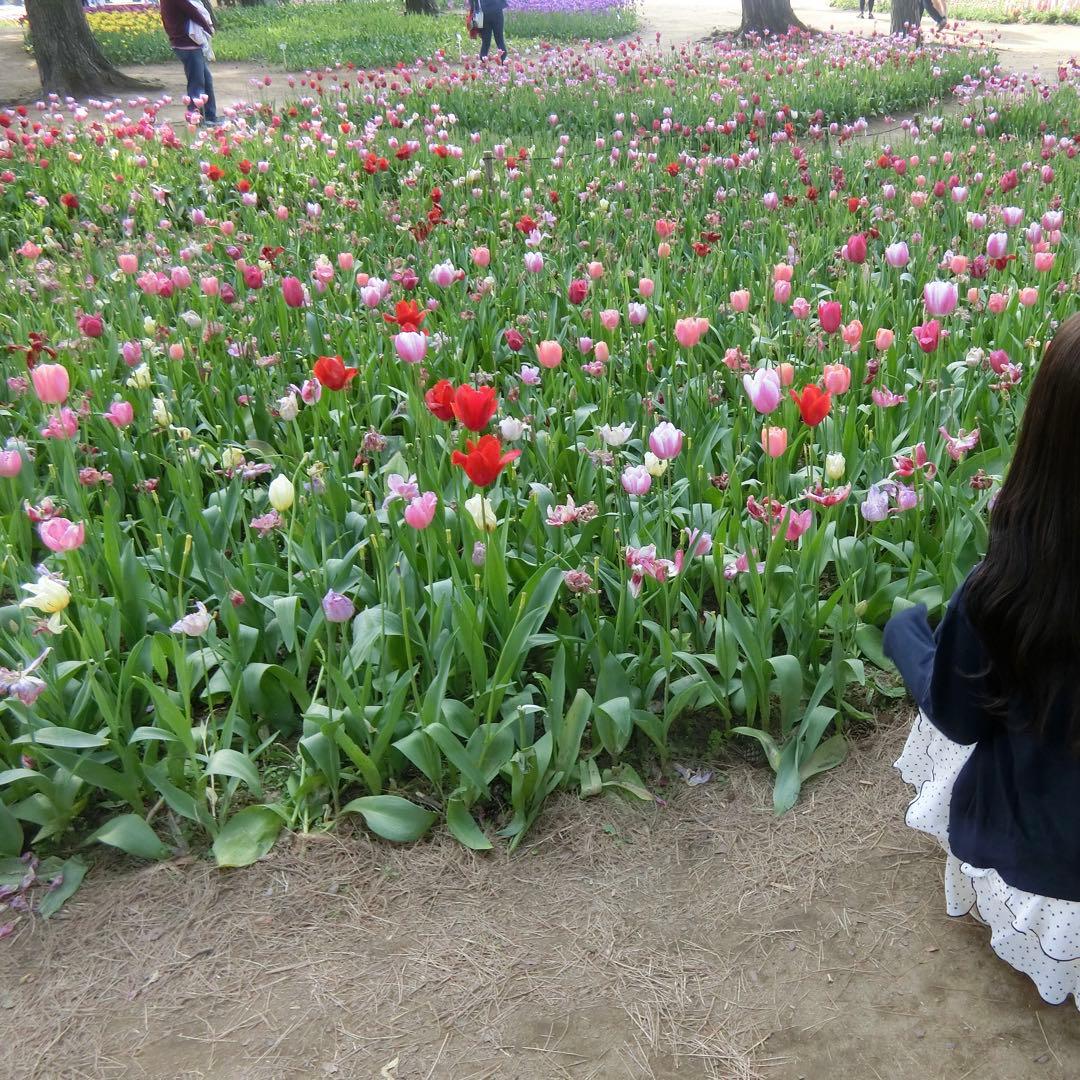 値下げ中 )CASIO デジタルカメラ EXILIM EX-ZR50