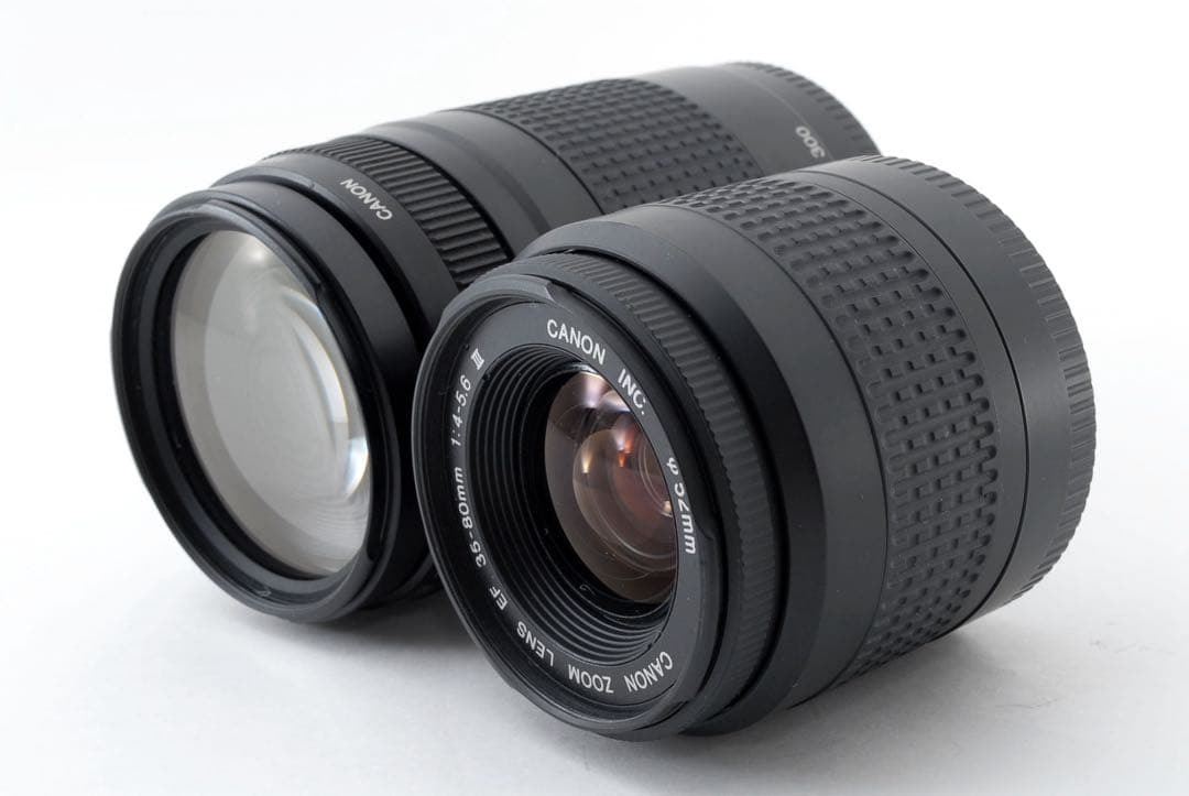 Canon EOS 80D標準&望遠ダブルレンズセット