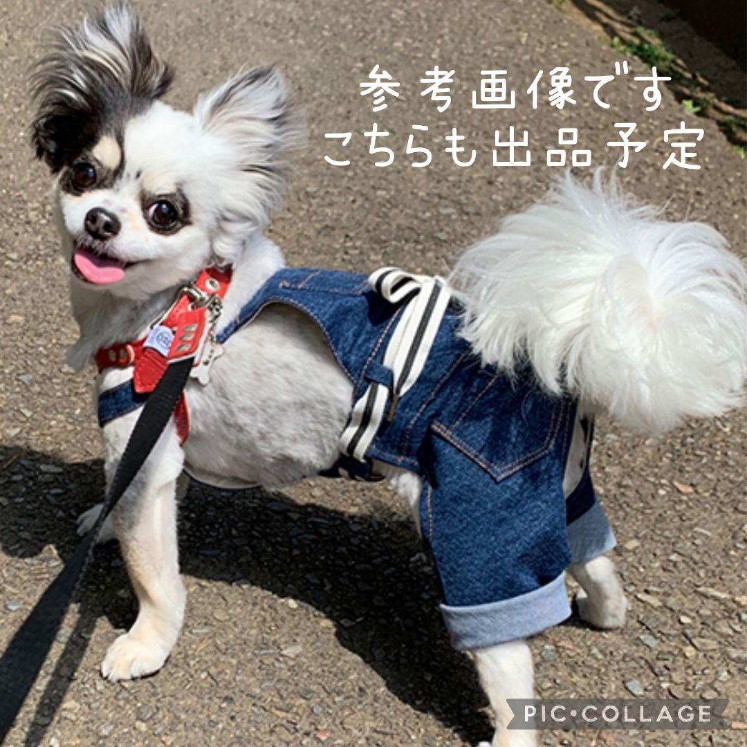 犬服　BEARDSLEY　刺繍ニット　ウール100%　　　ジェラートピケ好きな方