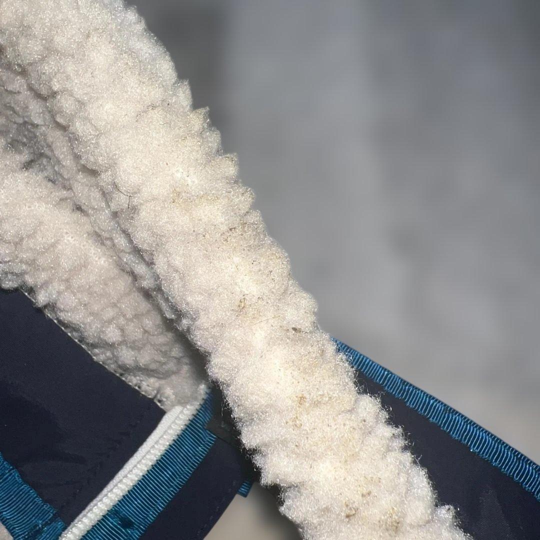 Patagonia フリースジャケット