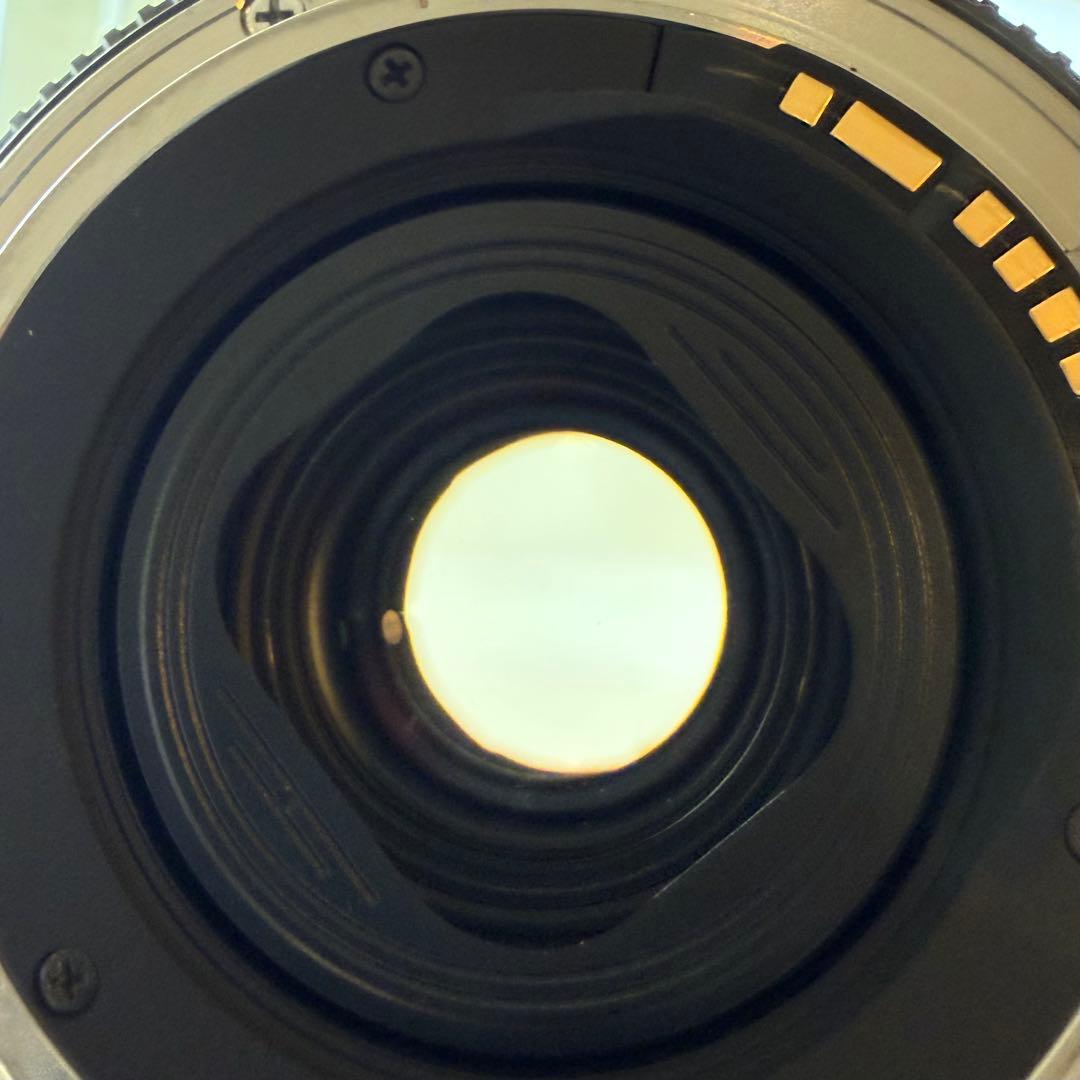 SIGMA シグマ 10-20mm F3.5 EX DC HSM（キヤノン用）