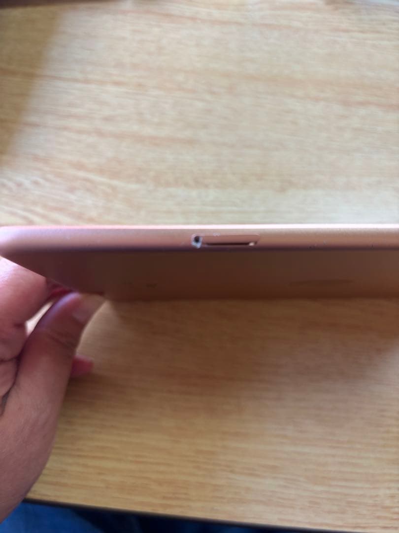 iPad mini 第5世代　ローズゴールド セルラーモデル