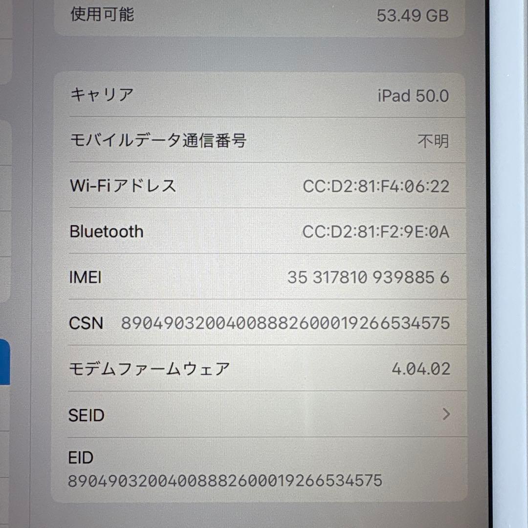【美品】iPad mini5 Wi-Fi+Cellular モデル 64GB