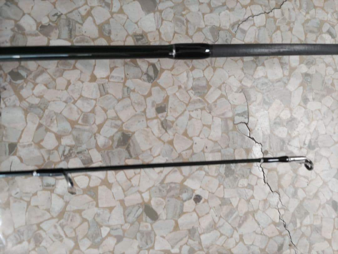 あ*つ様 PALMS エゲリアネイティブETNS-53L