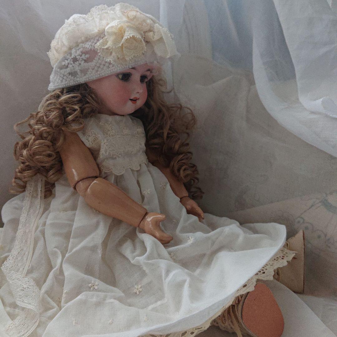 ルイス　アンバーグ　51㌢