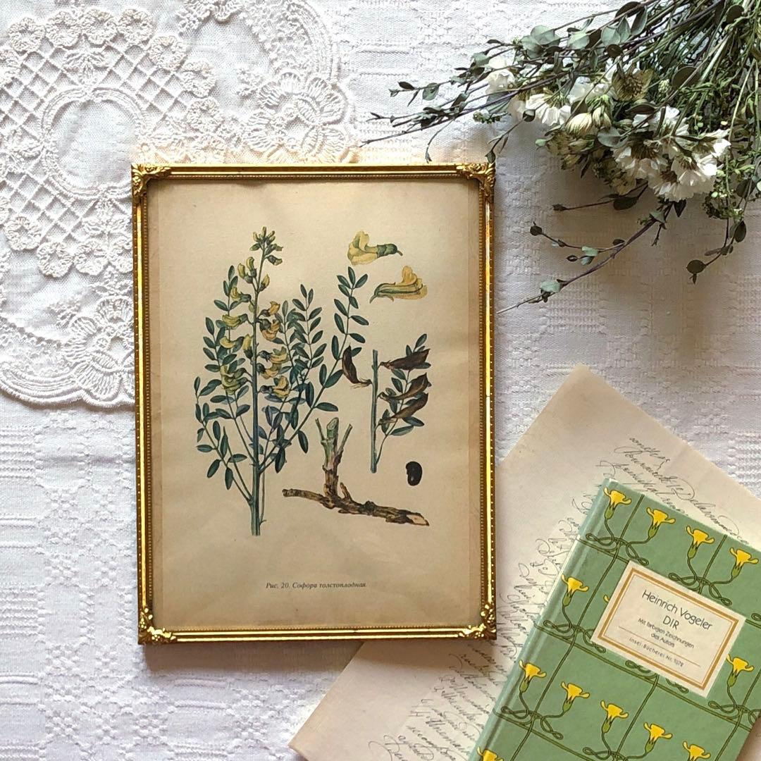 RV82 真鍮フォトフレーム24.5×18.5 北欧ヴィンテージ