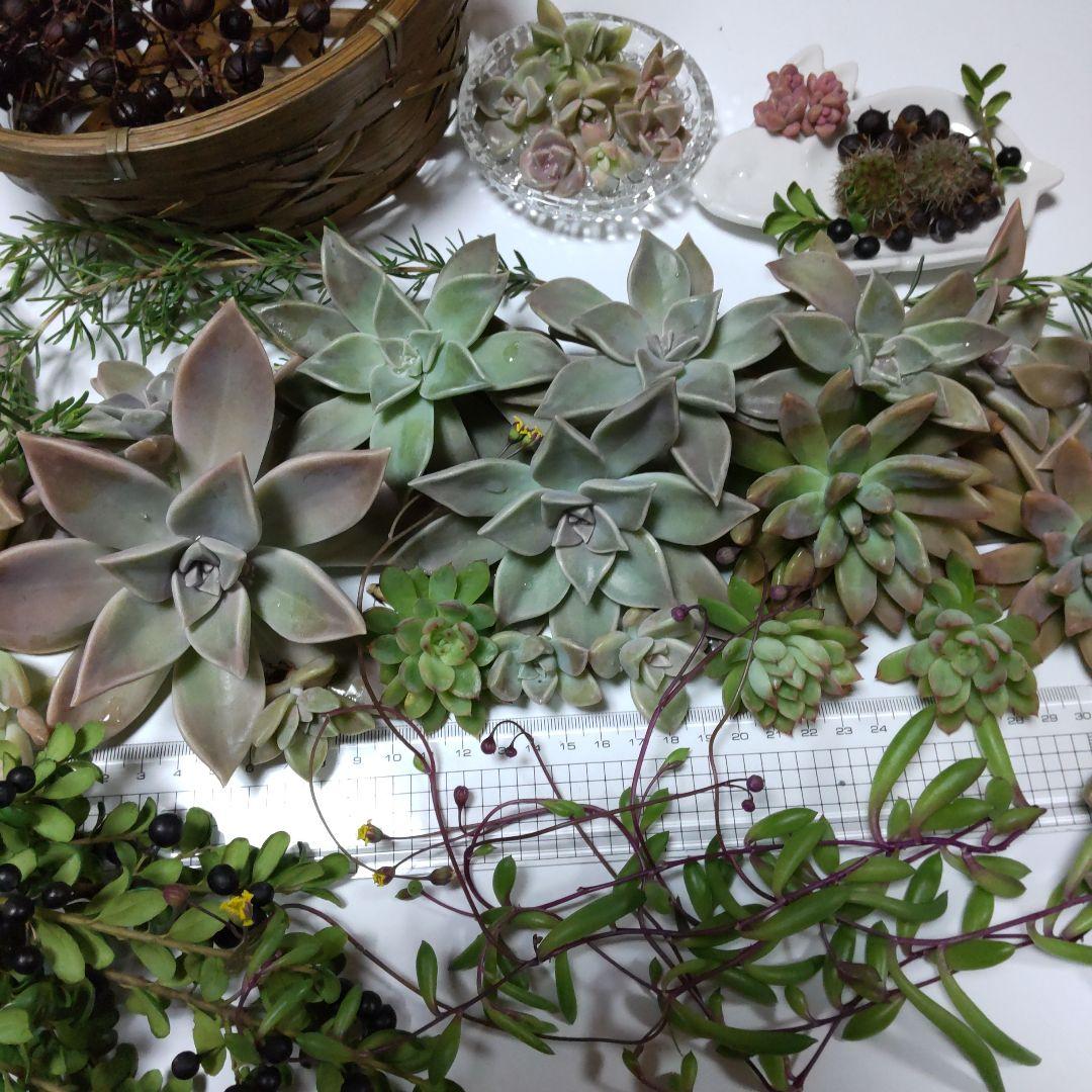 TOKIE様✤専用商品♥♥♥