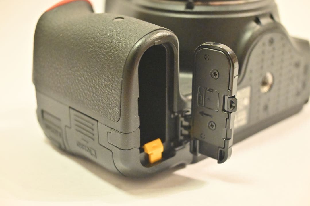 【ズーさん】【美品】　Nikon D5500 ダブルズームキット