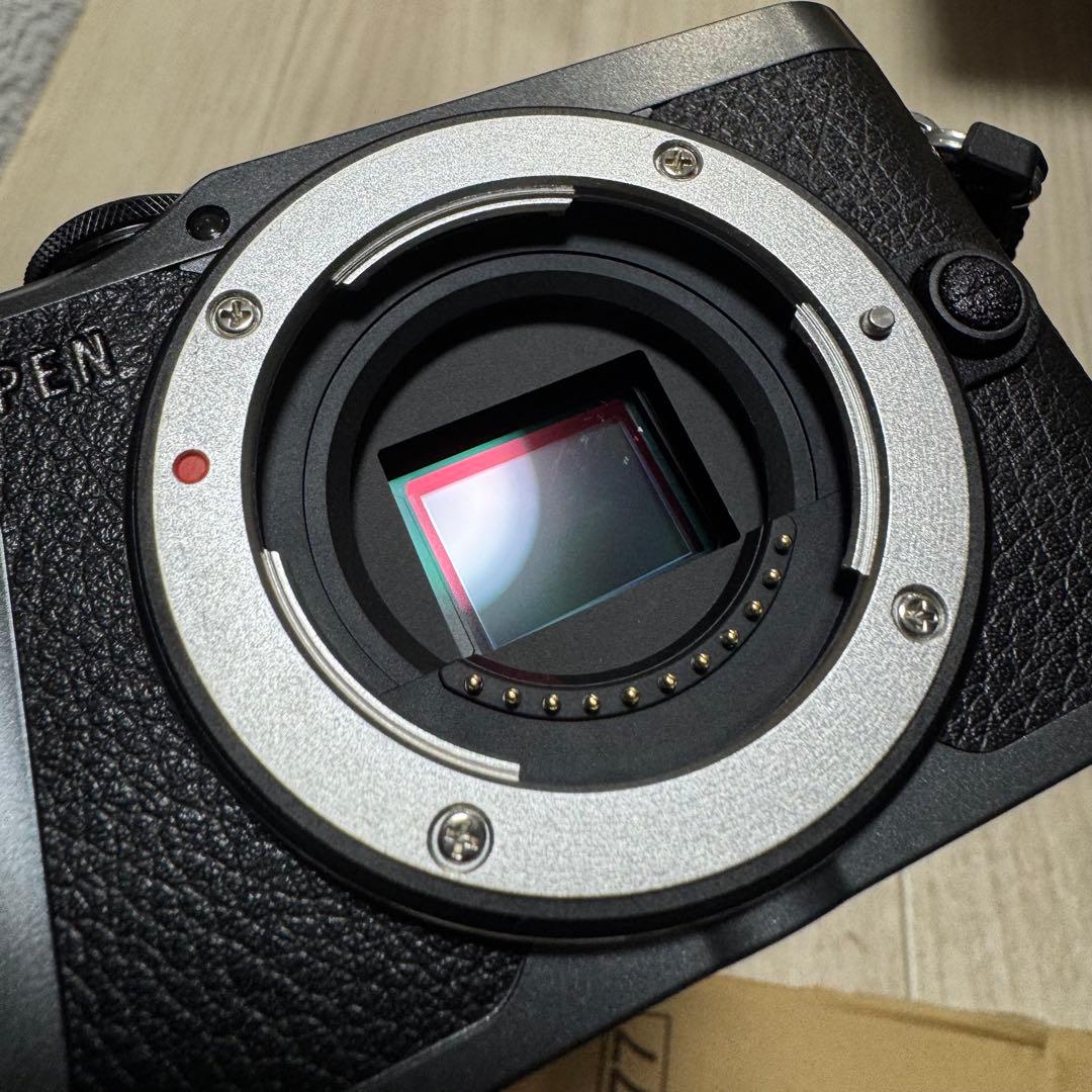 【美品】OLYMPUS PEN E-PL10 ミラーレス一眼カメラ ブラック