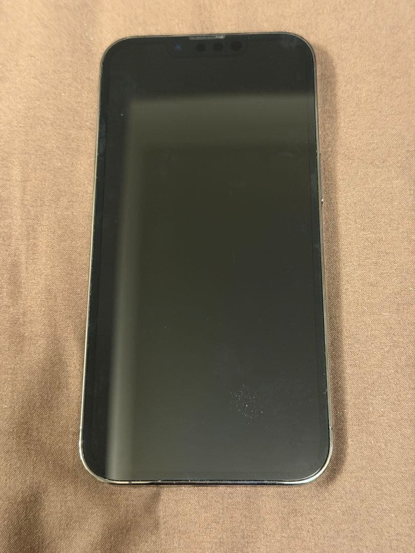 Apple iPhone 13 Pro 256GB グラファイト