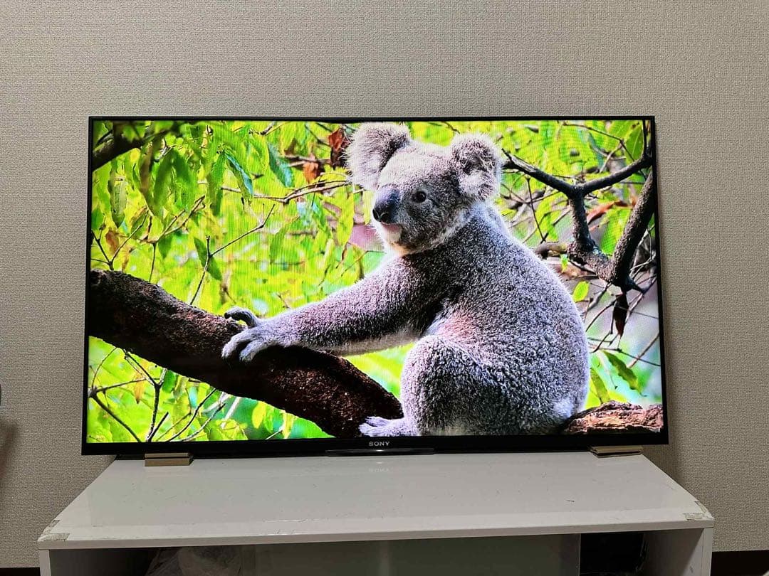 美品！SONY 液晶テレビ KDL 50W 800B 壁掛け用、スタンド無し