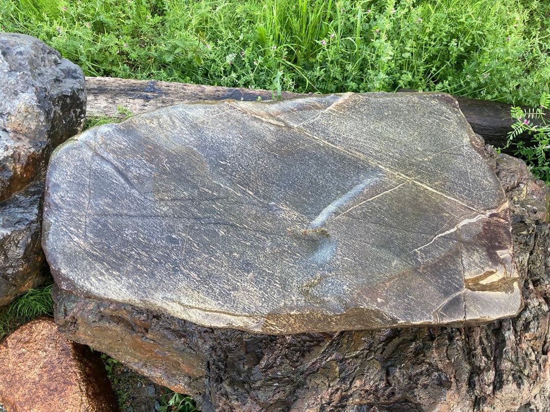 瀬田川石　銀梨地　沓石　捨石　景石