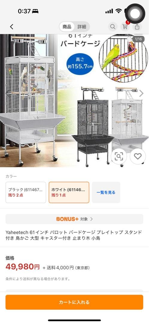 鳥かご大型 [送料込み]