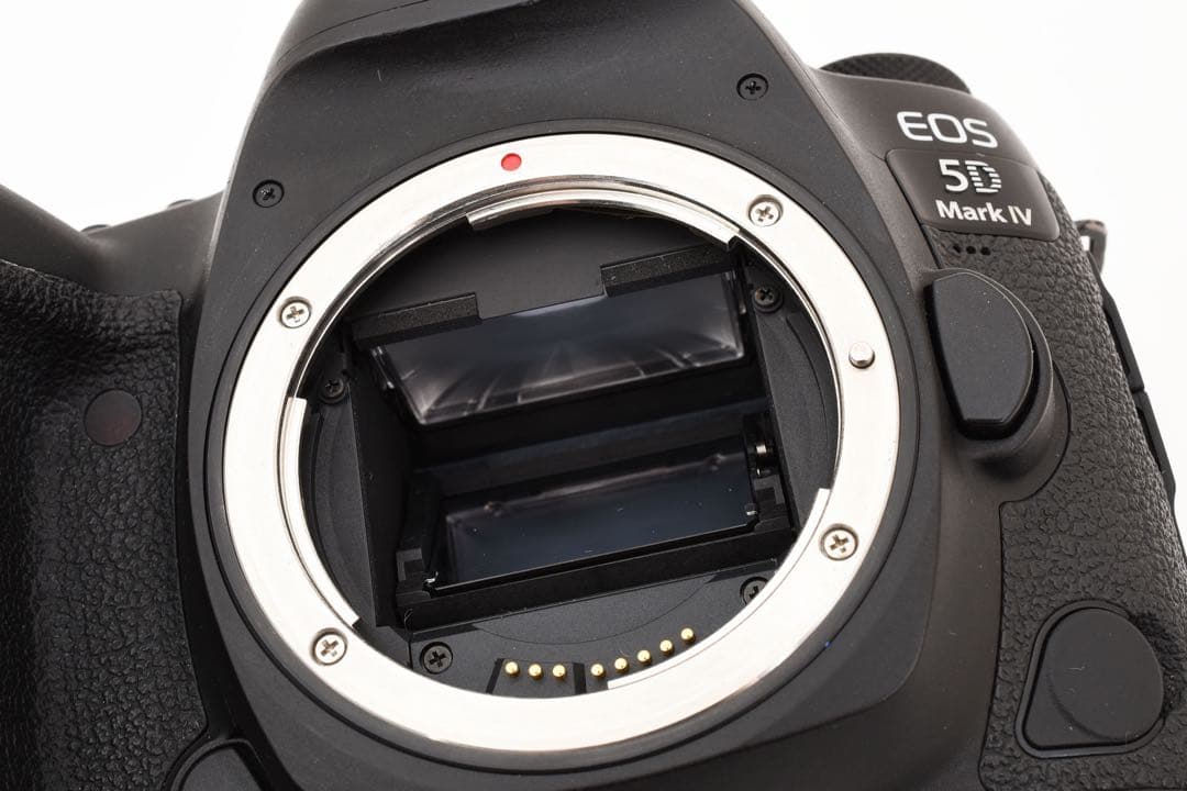 保証付き☆Canon EOS 5D Mark IV標準&望遠&単焦点レンズセット